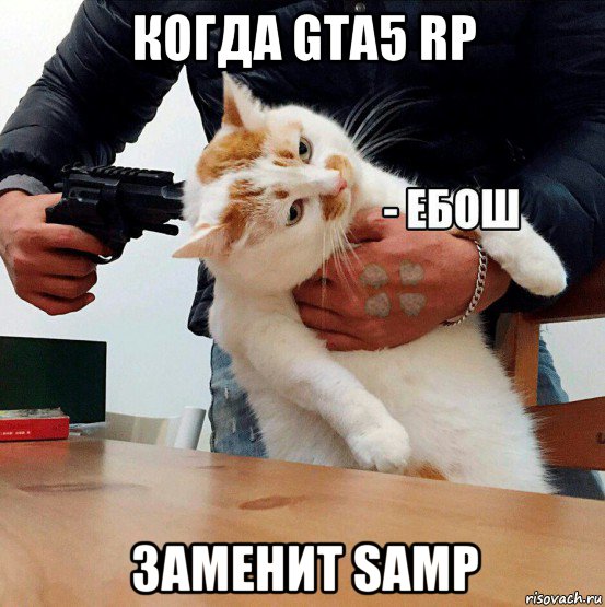 когда gta5 rp заменит samp, Мем  Кот ЕБОШ