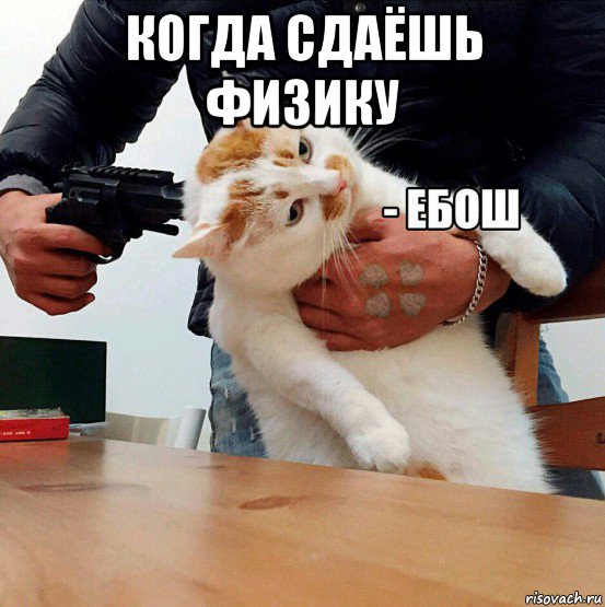 когда сдаёшь физику 