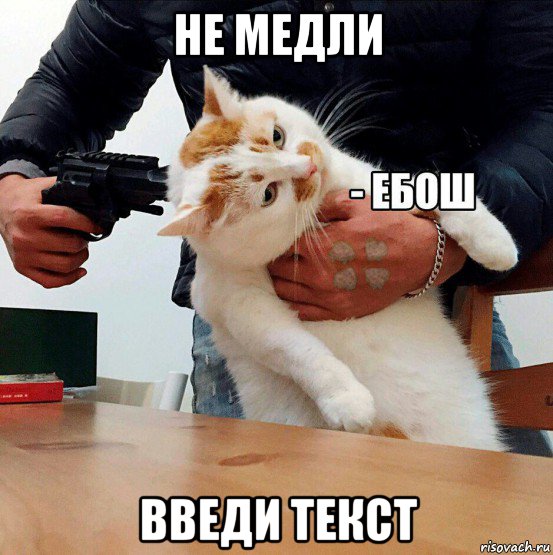 не медли введи текст