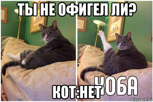 ты не офигел ли? кот:нет