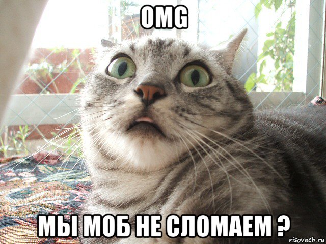 omg мы моб не сломаем ?