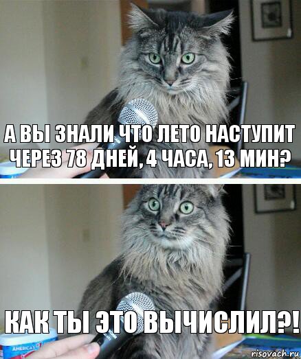 А вы знали что лето наступит через 78 дней, 4 часа, 13 мин? Как ты это вычислил?!, Комикс  кот с микрофоном