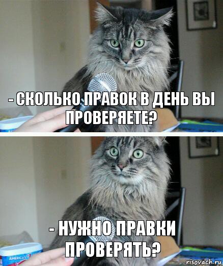 - Сколько правок в день вы проверяете? - Нужно правки проверять?, Комикс  кот с микрофоном