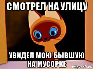 смотрел на улицу увидел мою бывшую на мусорке