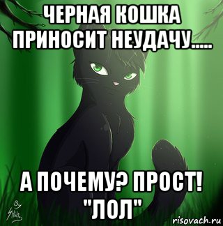 черная кошка приносит неудачу..... а почему? прост! "лол"