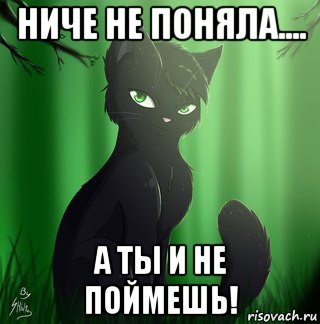 ниче не поняла.... а ты и не поймешь!, Мем Коты воители-Остролистая