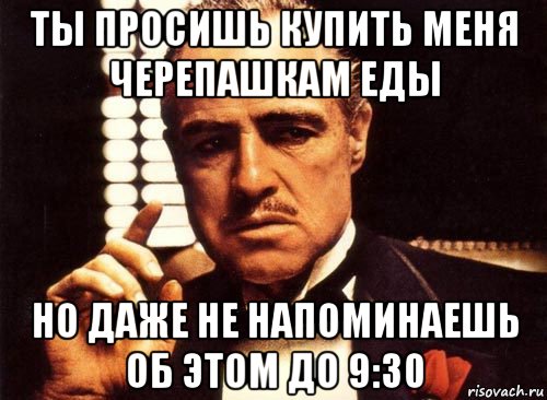 ты просишь купить меня черепашкам еды но даже не напоминаешь об этом до 9:30, Мем крестный отец