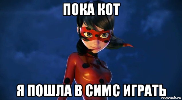 пока кот я пошла в симс играть