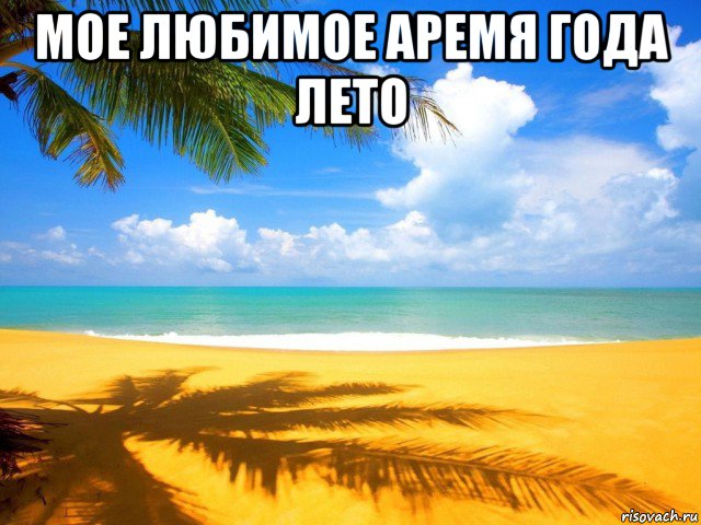 мое любимое аремя года лето 