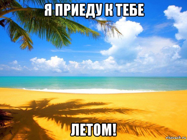 я приеду к тебе летом!