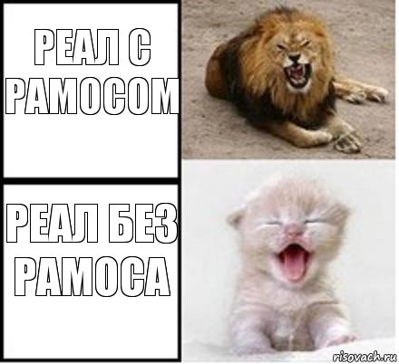 Реал с Рамосом Реал без рамоса, Комикс Лев и котенок