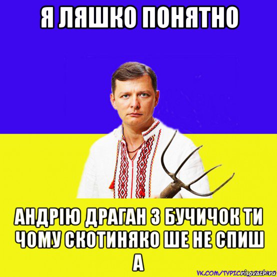 я ляшко понятно андрію драган з бучичок ти чому скотиняко ше не спиш а, Мем ляшко