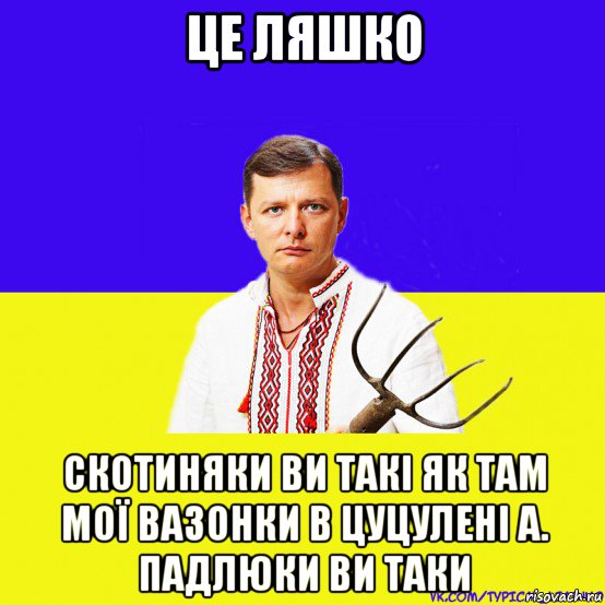 це ляшко скотиняки ви такі як там мої вазонки в цуцулені а. падлюки ви таки, Мем ляшко