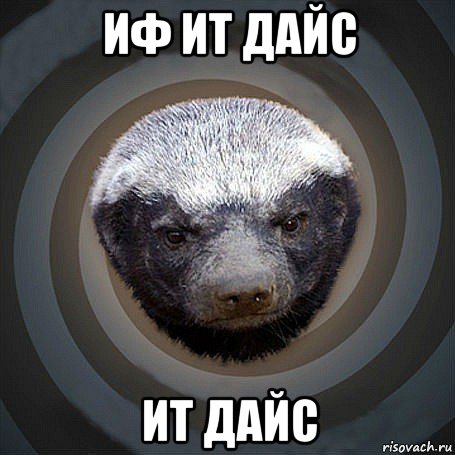 иф ит дайс ит дайс