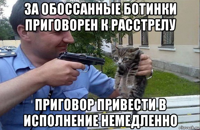 за обоссанные ботинки приговорен к расстрелу приговор привести в исполнение немедленно, Мем Мент и котенок