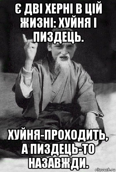 є дві херні в цій жизні: хуйня і пиздець. хуйня-проходить, а пиздець-то назавжди., Мем Мудрий паца