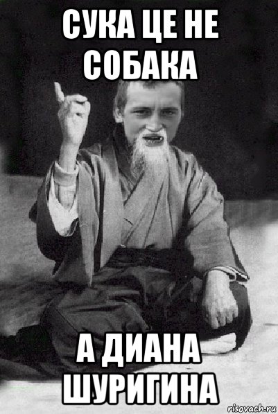 сука це не собака а диана шуригина, Мем Мудрий паца