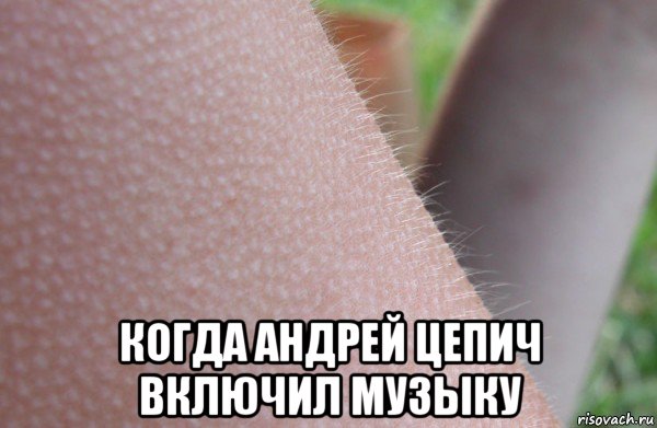  когда андрей цепич включил музыку