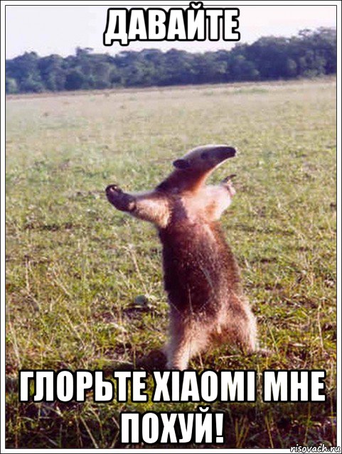 давайте глорьте xiaomi мне похуй!