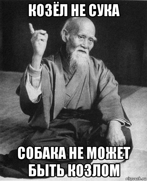 козёл не сука собака не может быть козлом, Мем Мурый старец-сэнсей