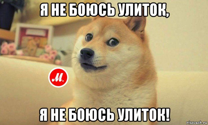 я не боюсь улиток, я не боюсь улиток!