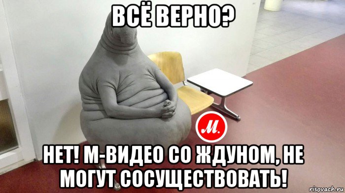 всё верно? нет! м-видео со ждуном, не могут сосуществовать!