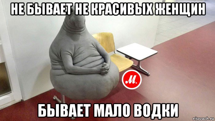 не бывает не красивых женщин бывает мало водки
