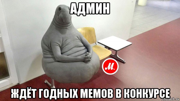 админ ждёт годных мемов в конкурсе