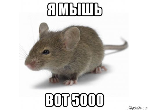 я мышь вот 5000, Мем Мышь