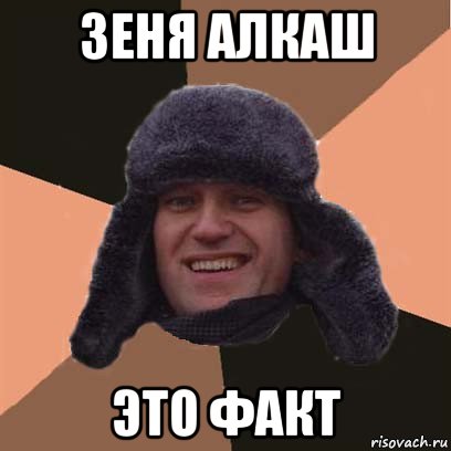 зеня алкаш это факт, Мем навальный