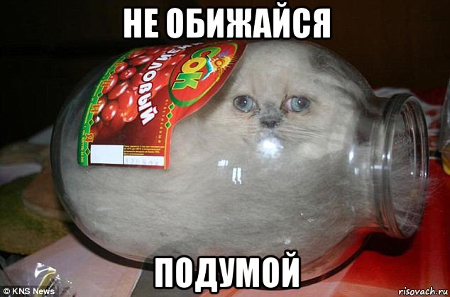 не обижайся подумой