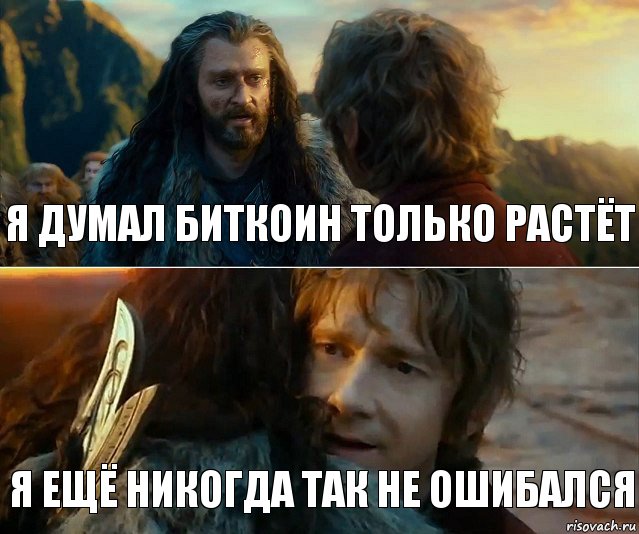 Я думал биткоин только растёт Я ещё никогда так не ошибался, Комикс Я никогда еще так не ошибался