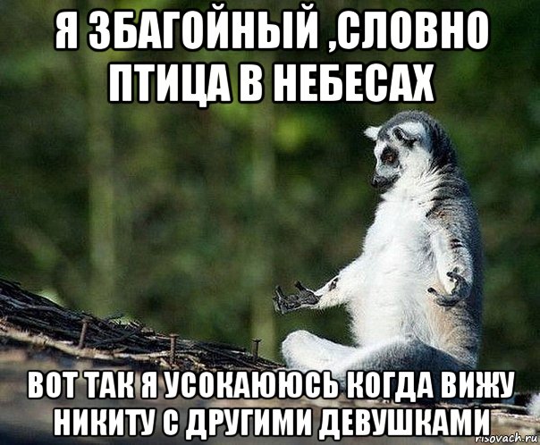 я збагойный ,словно птица в небесах вот так я усокаююсь когда вижу никиту с другими девушками, Мем не узбагоюсь