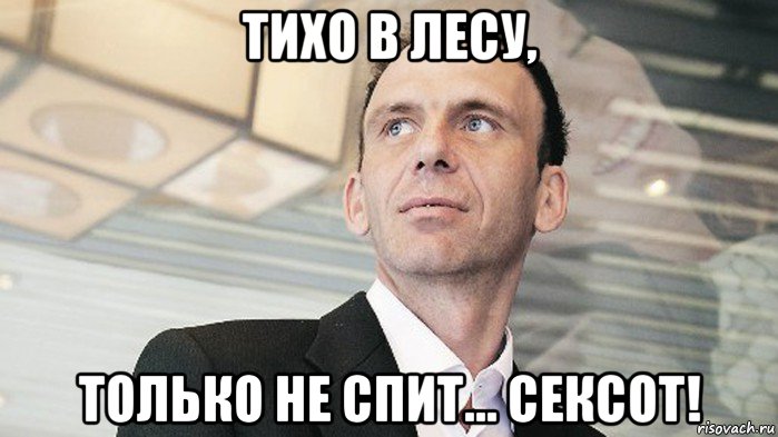тихо в лесу, только не спит... сексот!