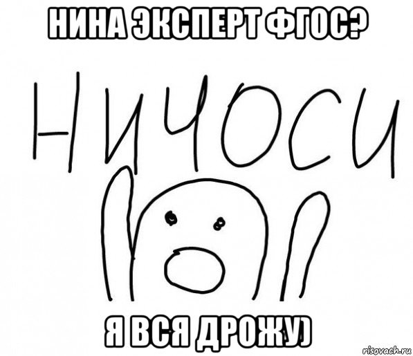 нина эксперт фгос? я вся дрожу), Мем  Ничоси