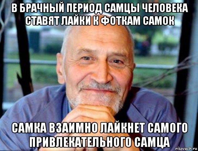 в брачный период самцы человека ставят лайки к фоткам самок самка взаимно лайкнет самого привлекательного самца, Мем Николай Дроздов