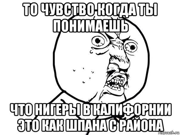 то чувство когда ты понимаешь что нигеры в калифорнии это как шпана с района, Мем Ну почему (белый фон)