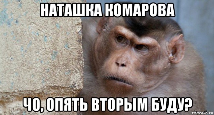 наташка комарова чо, опять вторым буду?