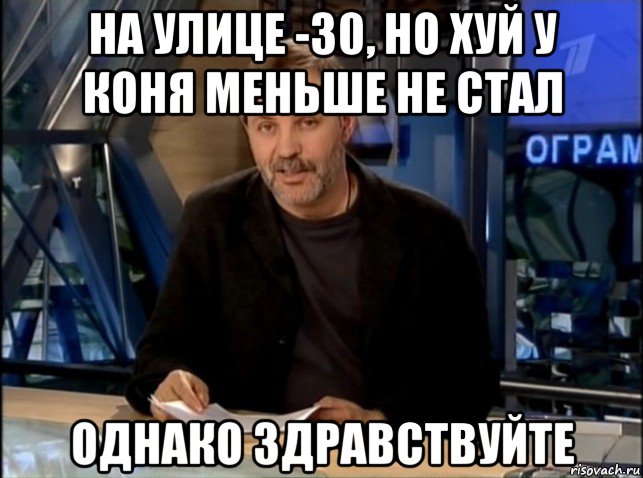 на улице -30, но хуй у коня меньше не стал однако здравствуйте, Мем Однако Здравствуйте