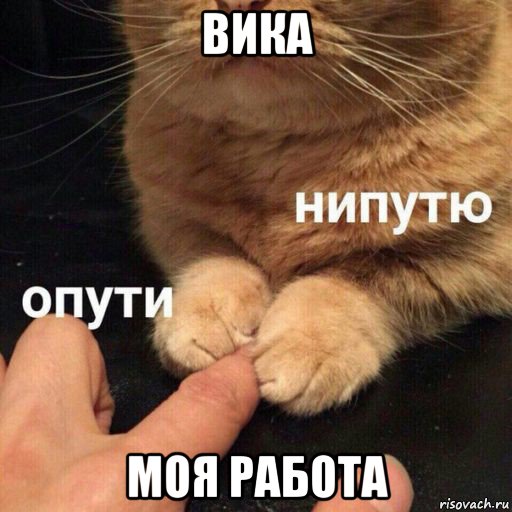 вика моя работа