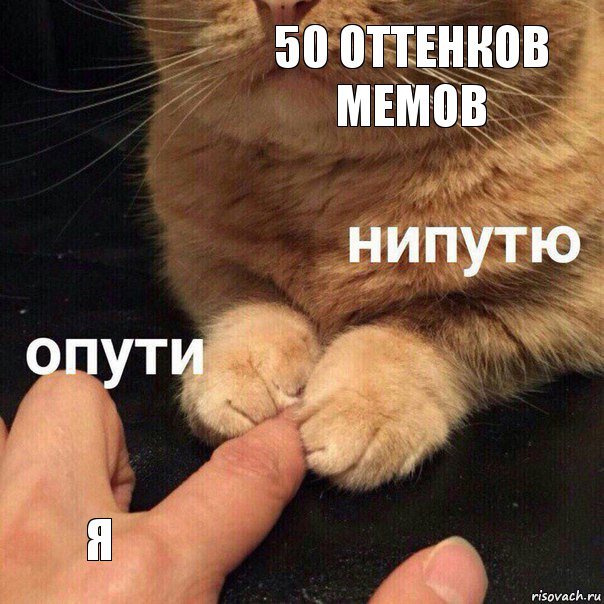 50 оттенков мемов Я