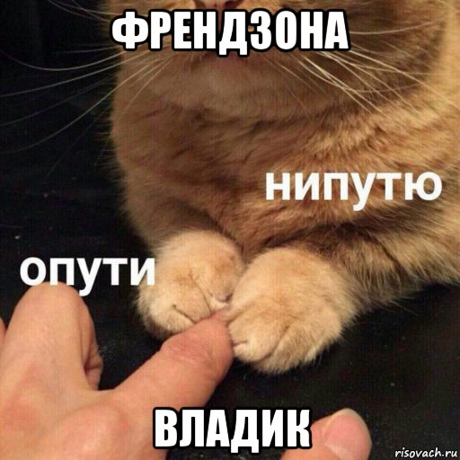 френдзона владик