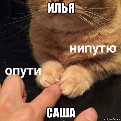 илья саша