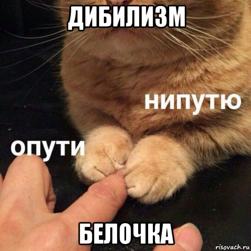 дибилизм белочка