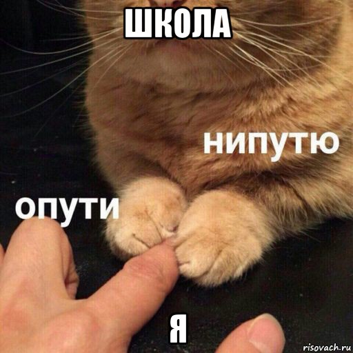 школа я