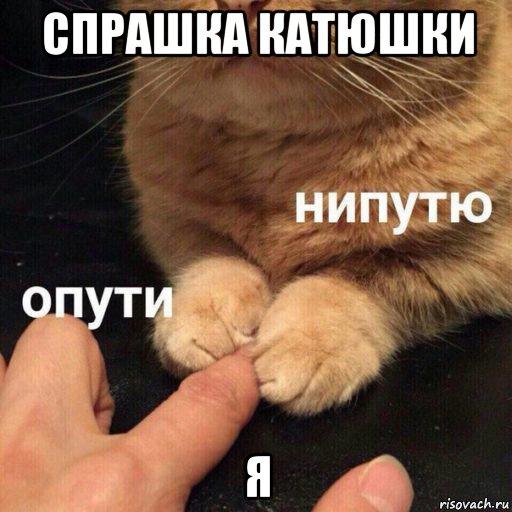 спрашка катюшки я