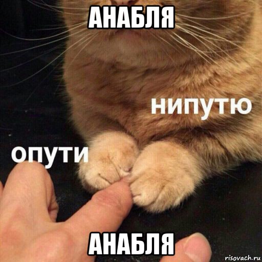 анабля анабля