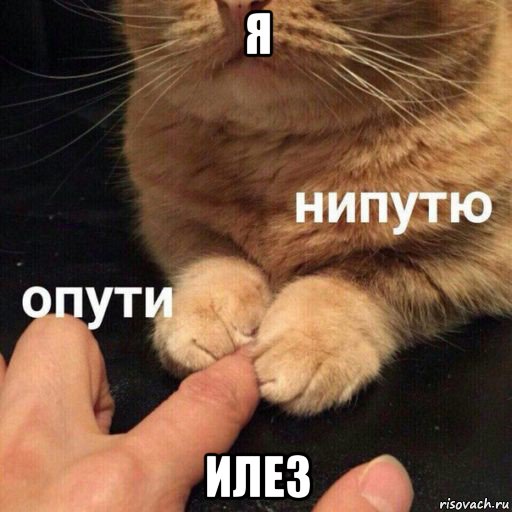 я илез