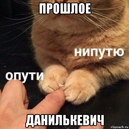 прошлое данилькевич