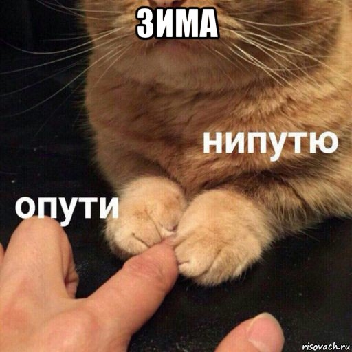 зима 